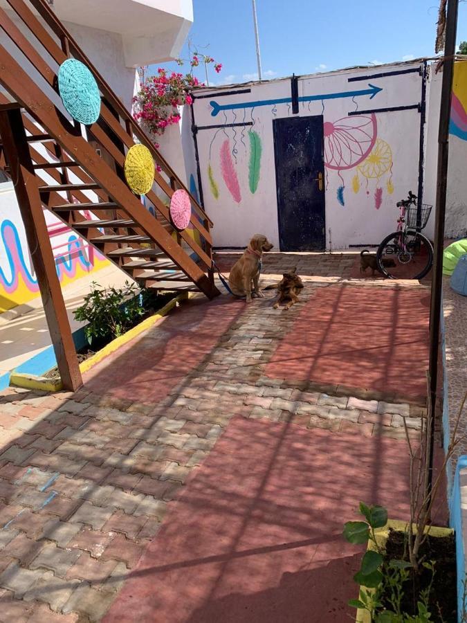 Dahab Tribe Guest House Εξωτερικό φωτογραφία