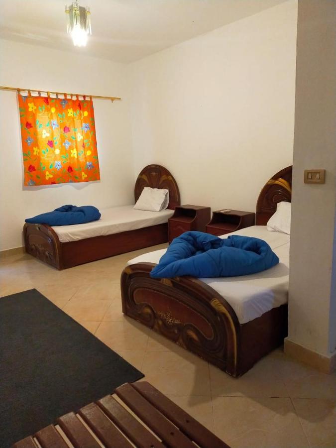 Dahab Tribe Guest House Εξωτερικό φωτογραφία