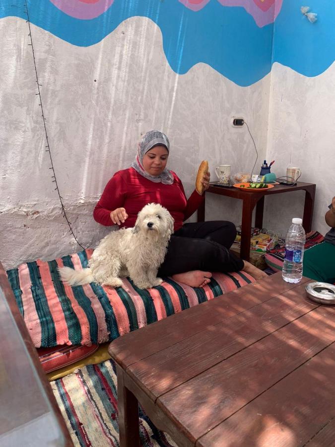 Dahab Tribe Guest House Εξωτερικό φωτογραφία