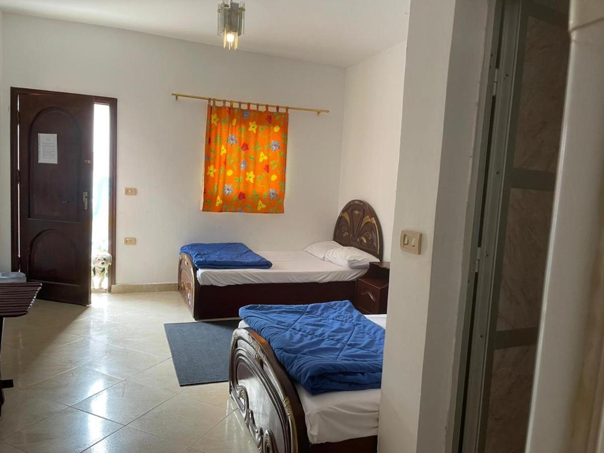 Dahab Tribe Guest House Εξωτερικό φωτογραφία
