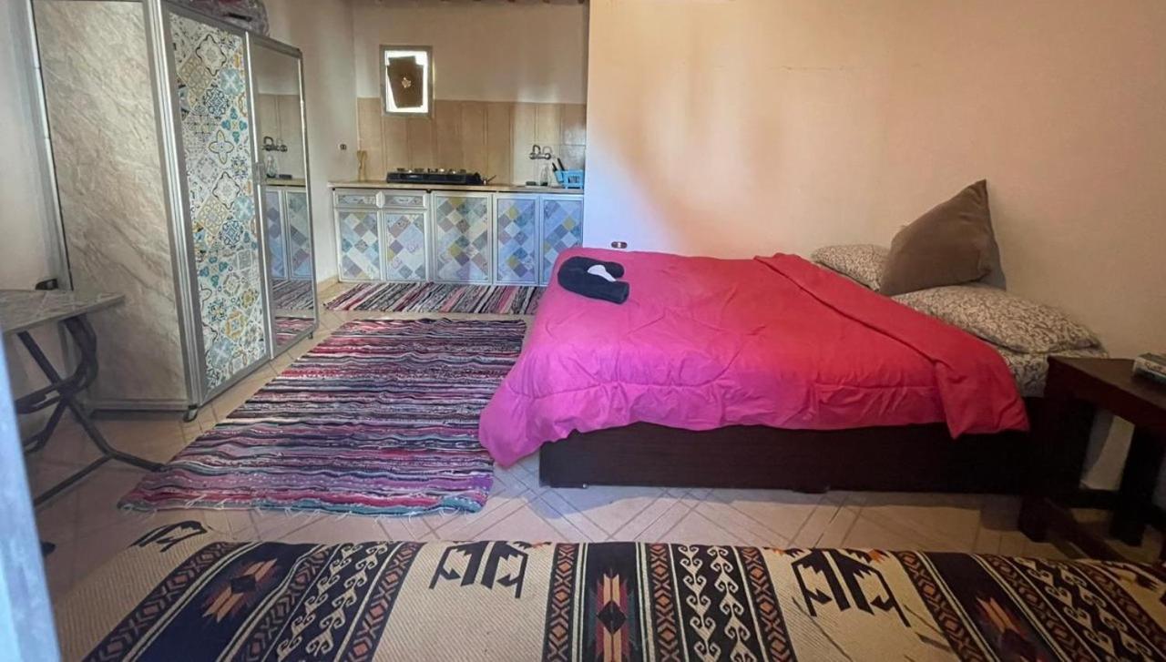 Dahab Tribe Guest House Εξωτερικό φωτογραφία